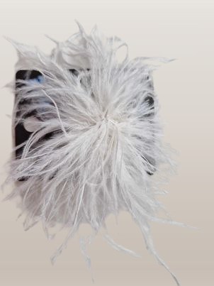 Spille con piume