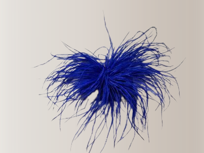 Spille con piume