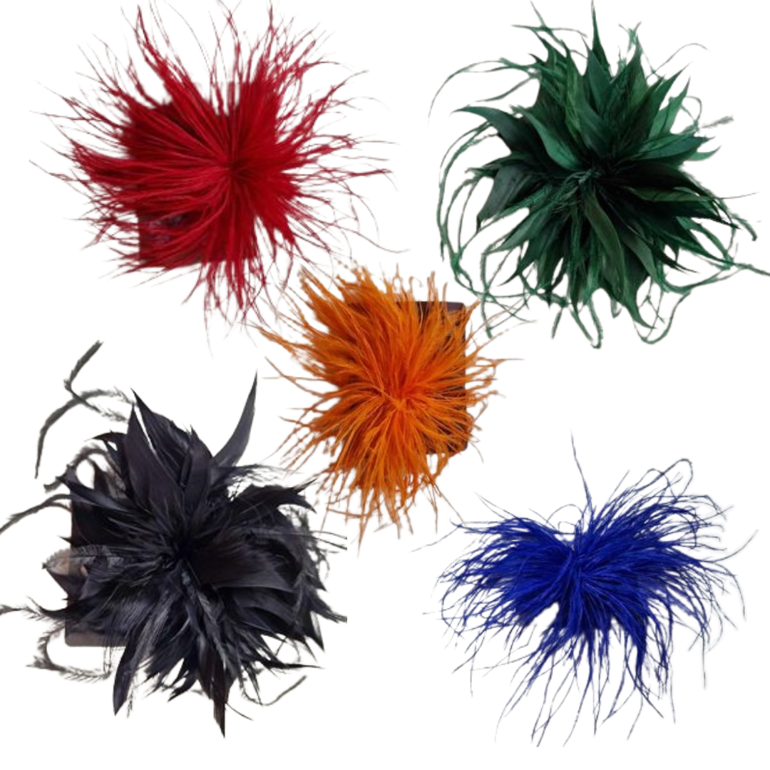 Spille con piume