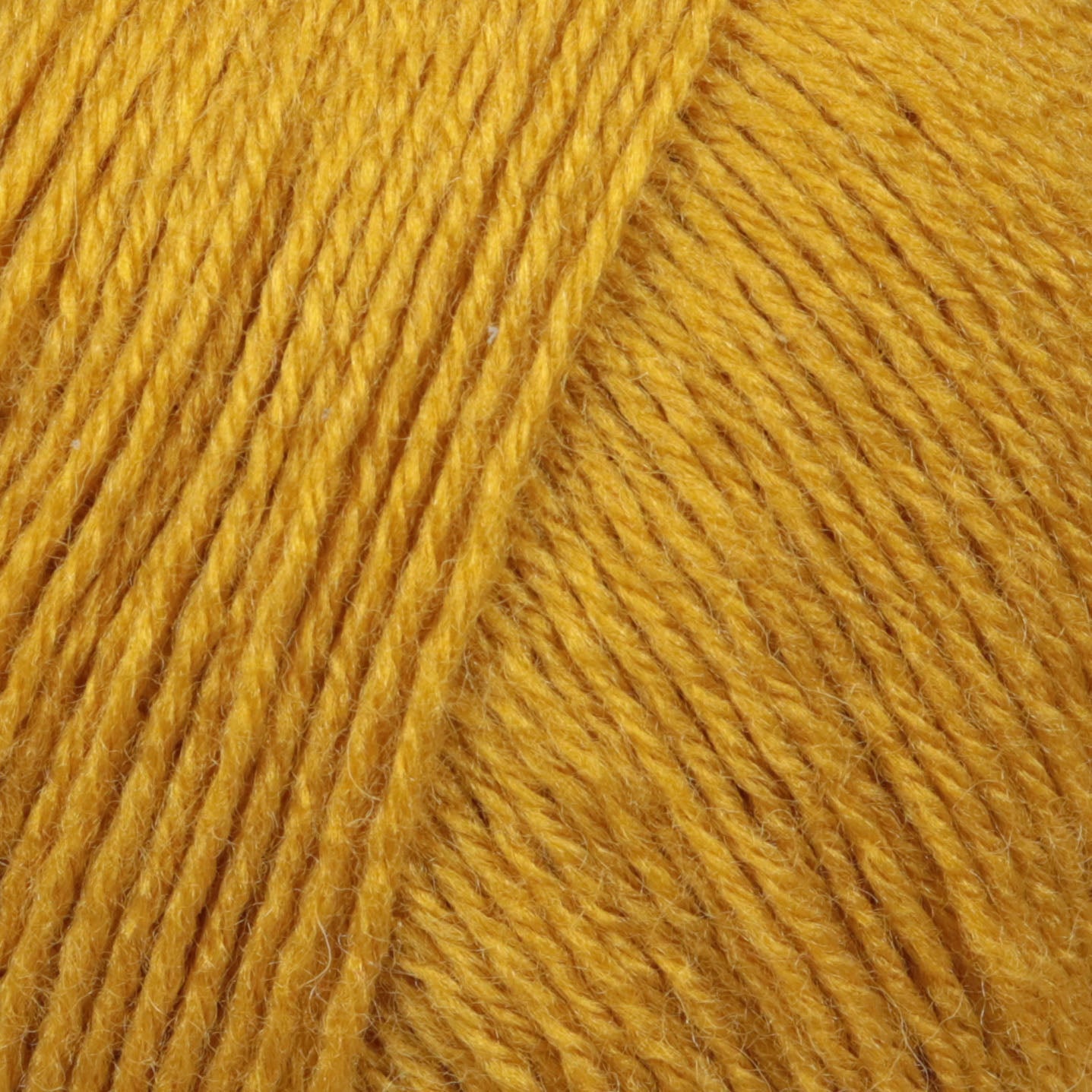 Lana merino oro