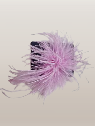 Spille con piume